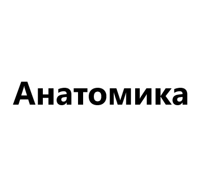 Анатомика