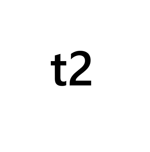 t2