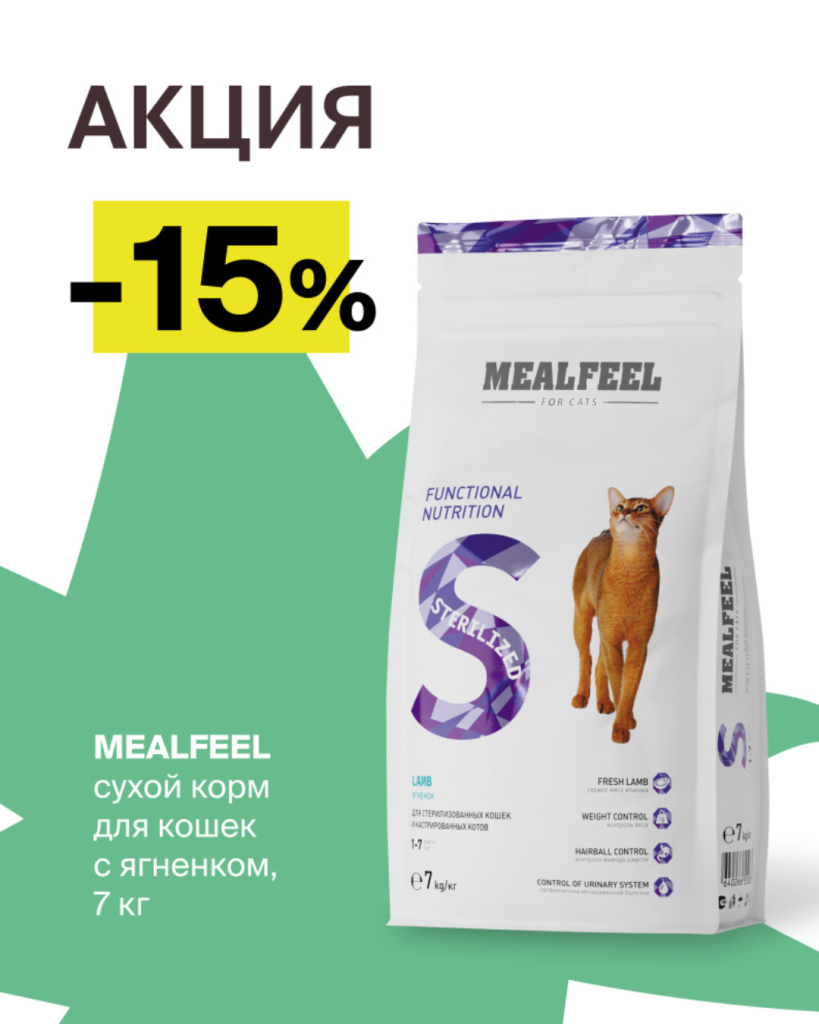 Дизайн без названия (2).png