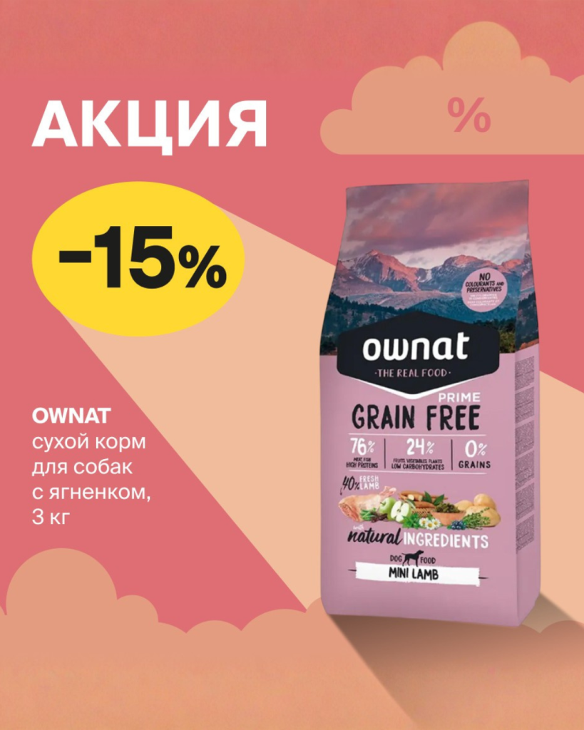 КАЖДЫЕ ВЫХОДНЫЕ СЕНТЯБРЯ (2).png